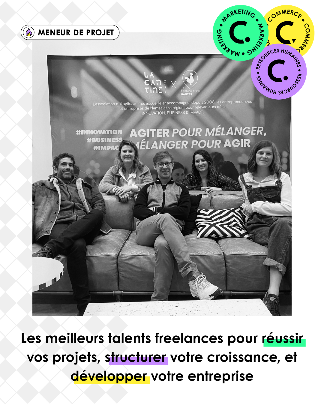 meneuse de projet